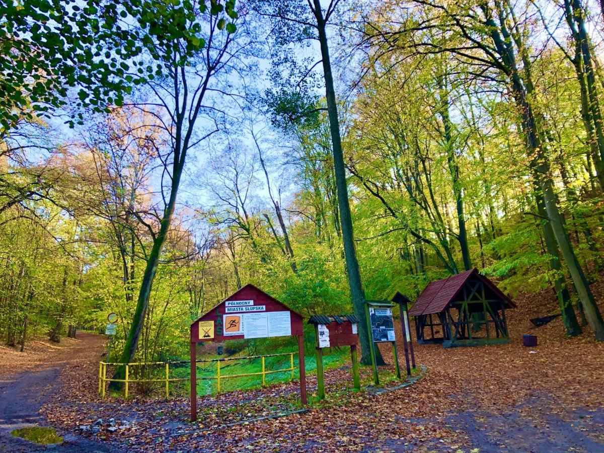 Las Slupski Premium Apartament Nr6 Wifi Netflix Smart Tv50 Two Bedrooms Two Extra Large Double Beds Up To 6 People Full Pleasure Quality Stay (Adults Only) Słupsk Exterior foto